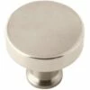 Delta SDKB005-BN-B1 Lyndall Knob For Pivot Shower Door In Nickel
